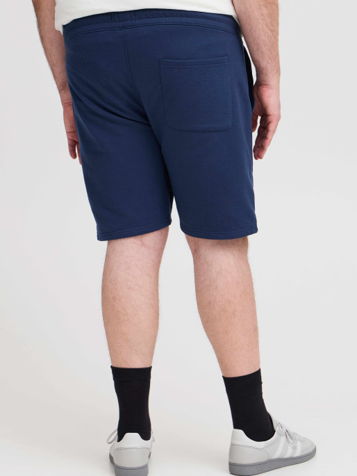 BLEND Pantaloni scurti
