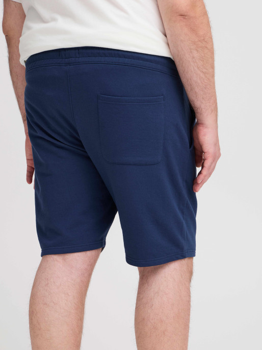 BLEND Pantaloni scurti
