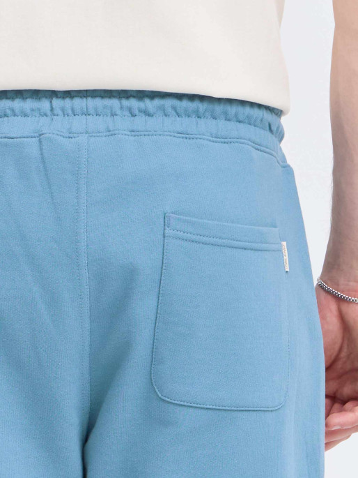 BLEND Къси панталони BHBRODY SHORTS