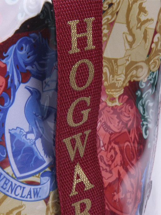 CERDA Geanta Harry Potter