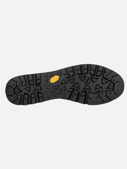 LOWA Muške outdoor patike TICAM EVO GTX