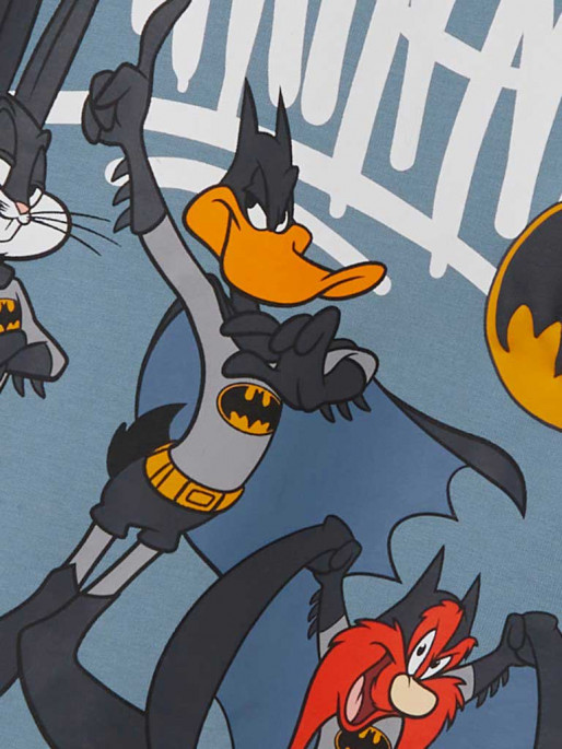 NAME IT Bluza Nmmarny Looney Sweat Bru Wab