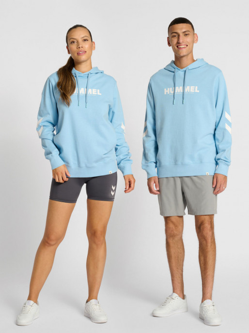 HUMMEL TEAM hmlLEGACY Hoodie