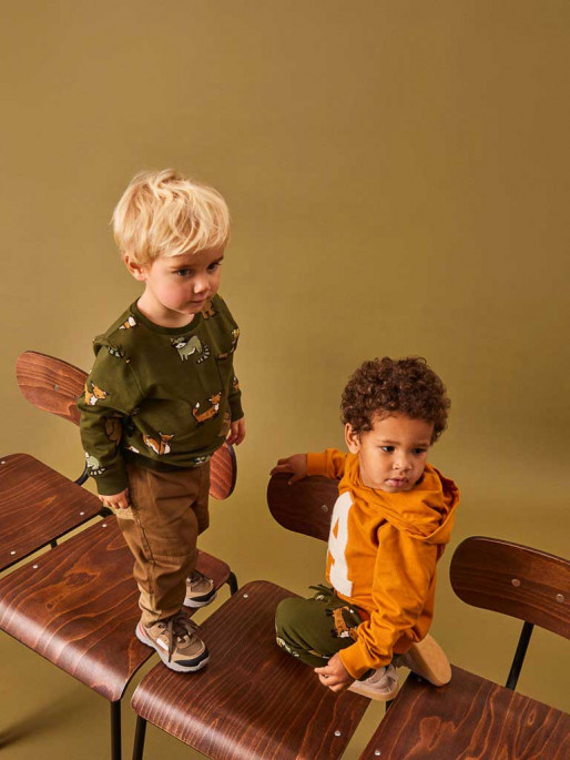 NAME IT Bluza Nmmosvald Sweat Bru Box