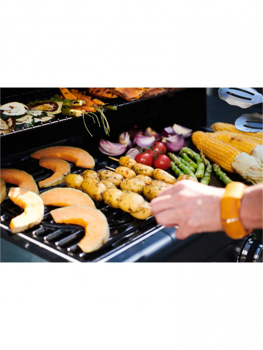 CAMPINGAZ Ψησταριά BBQ Select 4 EXS