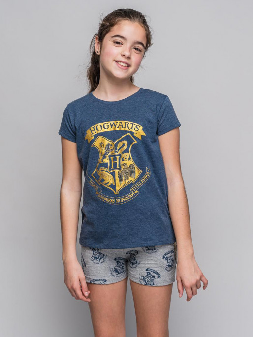 CERDA Set 2 piese Harry Potter