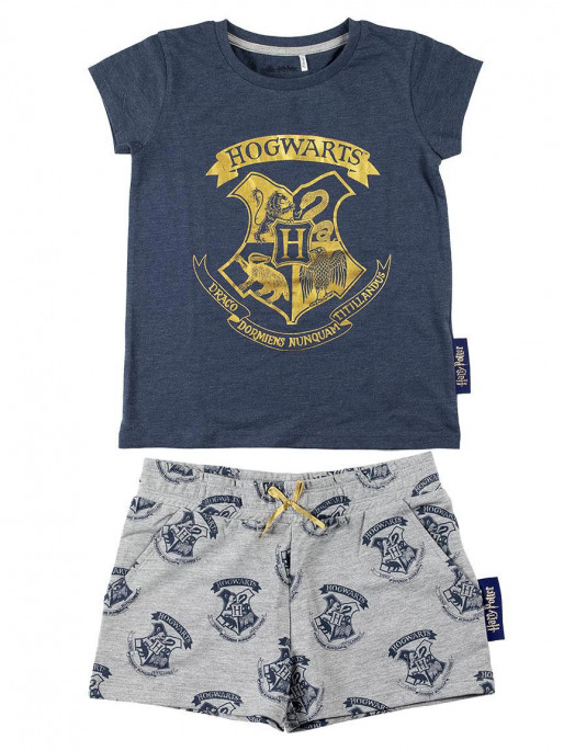 CERDA Set 2 piese Harry Potter