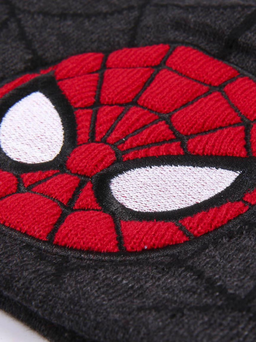 CERDA Fes Spiderman
