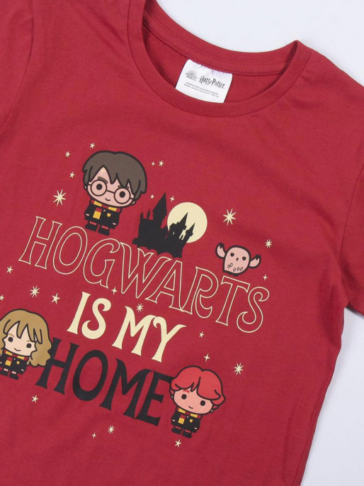 CERDA Set doua piese Harry Potter