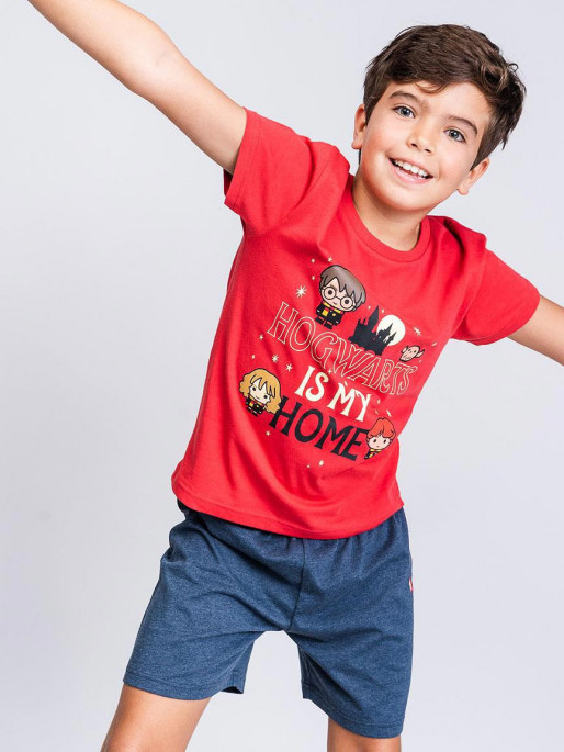 CERDA Set doua piese Harry Potter