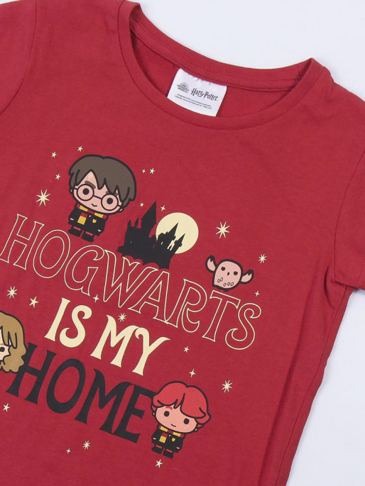 CERDA Set doua piese Harry Potter