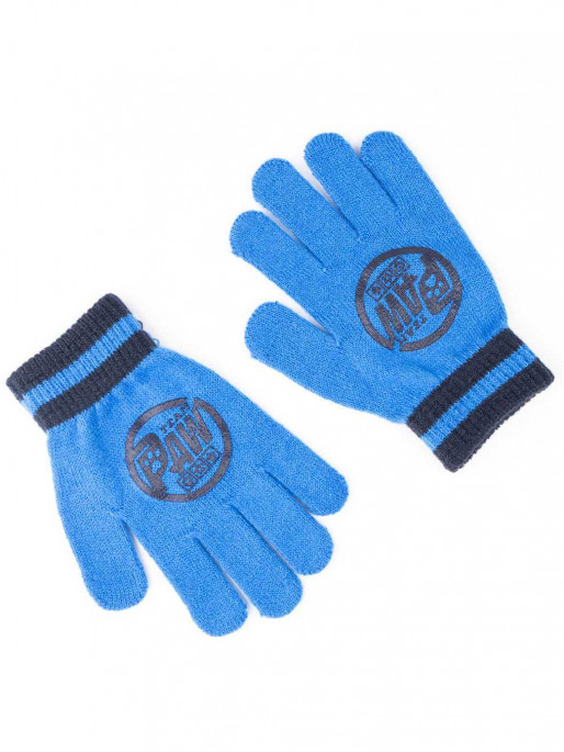 CERDA Set 2 piese Paw Patrol