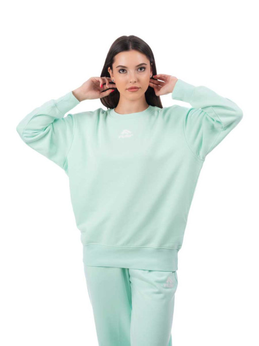 FLAIR Sweatshirt 221016
