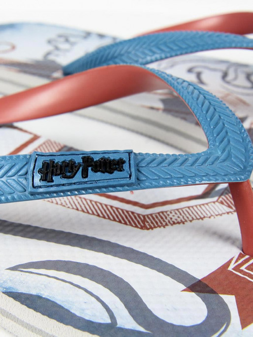 CERDA HARRY POTTER Flip flops