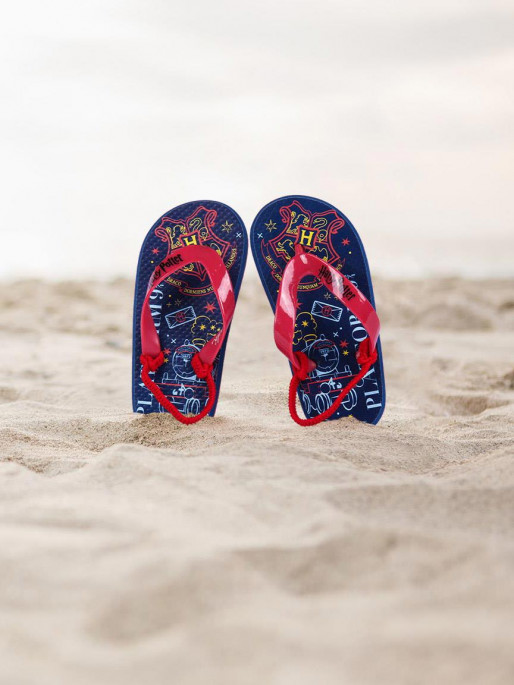 CERDA HARRY POTTER Flip flops