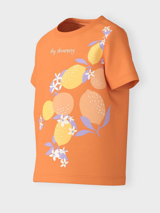 NAME IT Tricou Nmfjanine Ss Top Pb