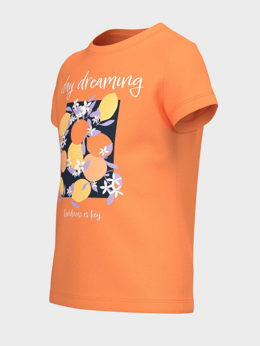 NAME IT Tricou Nkfjanine Ss Top Pb