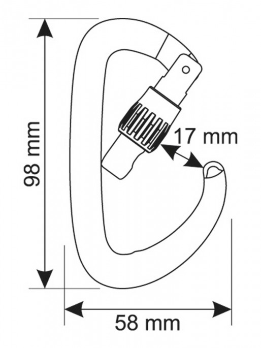 CAMP Carabiniera Orbit Lock