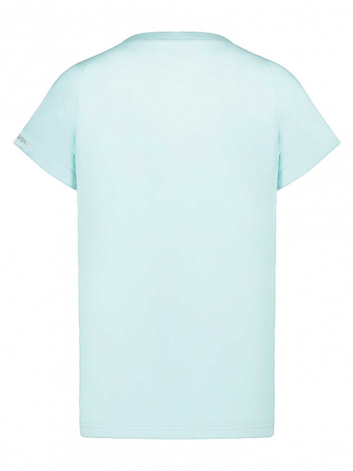 ICEPEAK Muška majica BROWNFIELD T-shirt