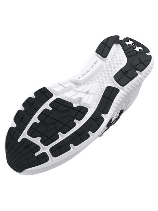 UNDER ARMOUR Incaltaminte Charged Rogue 4