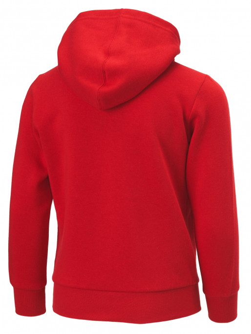 CHAMPION Hooded Pullover