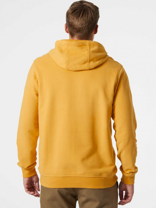 HELLY HANSEN LOGO Muški duks sa kapuljačom