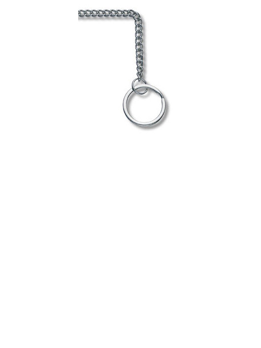 VICTORINOX Chain, karabiner and keyring