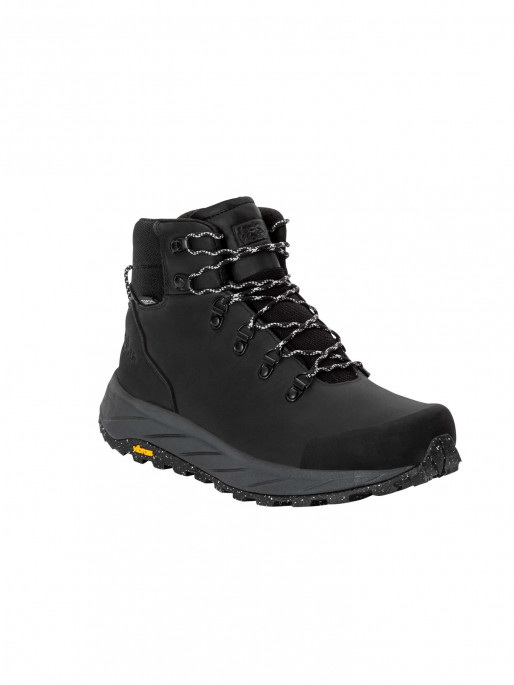 JACK WOLFSKIN TERRAQUEST X TEXAPORE MID M Shoes