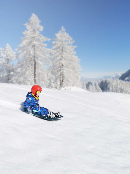 GIZMO Шейна Tron