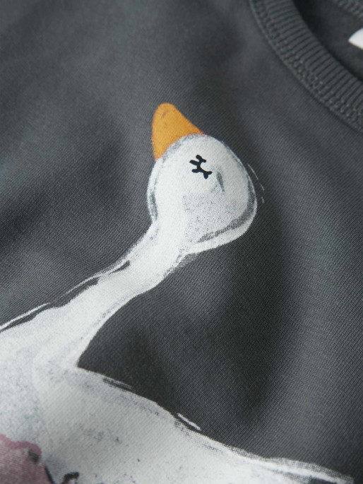 NAME IT Блуза NMFSWANA LS SWEAT BRU