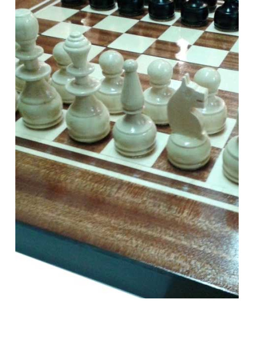 ORESHAK Chess and backgammon set
