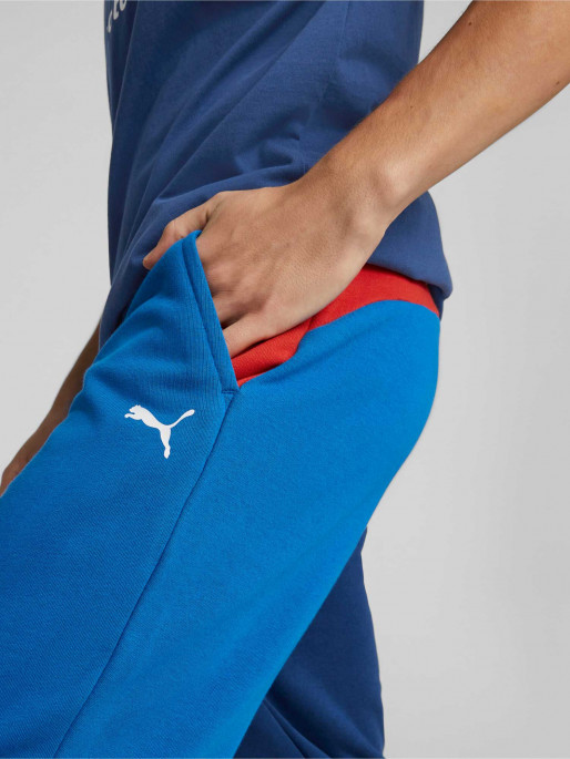 PUMA Pantaloni sport BMW Mms Ess Ft