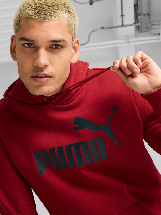 PUMA