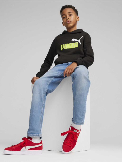 PUMA ESS+ 2 Col Big Logo Hoodie FL B