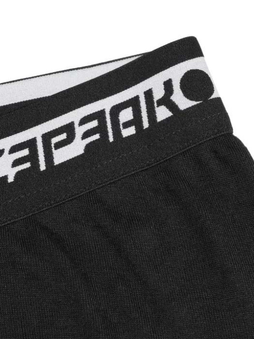 ICEPEAK