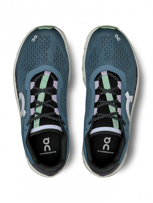 ON Incaltaminte Cloudmonster