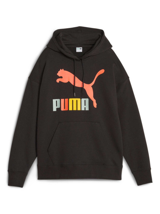 PUMA CLASSICS Multi Color Logo Hoodie TR