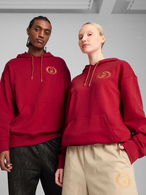 PUMA X HARRY POTTER Relaxed Graphic Hoodie TR