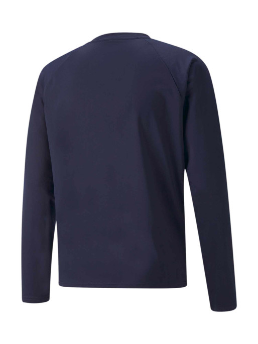 PUMA TEAMWEAR Блуза teamLIGA Training