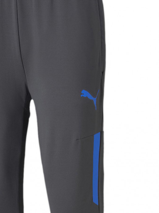 PUMA Muški donji deo trenerke IndividualCUP Training pants