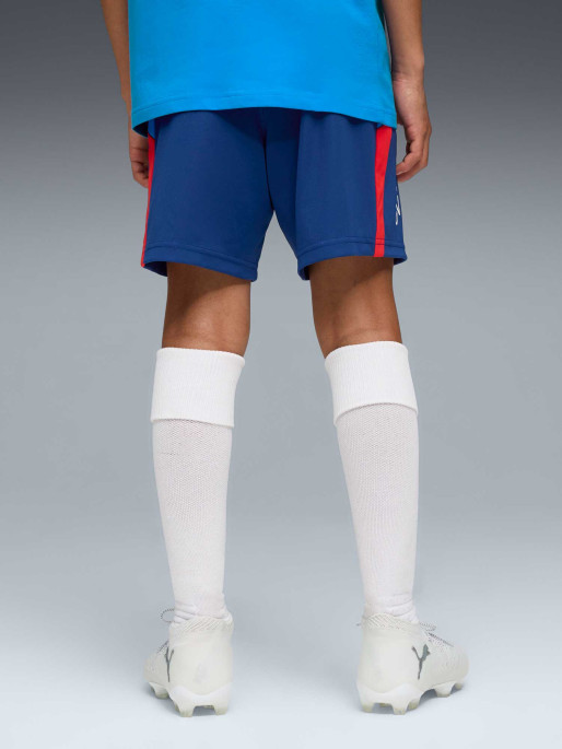 PUMA Pantaloni scurti Neymar Jr Playmaker Training Jr