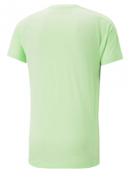 PUMA Tricou Evostripe