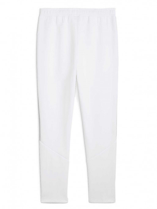 PUMA Αθλητικό Παντελόνι EVOSTRIPE Pants DK