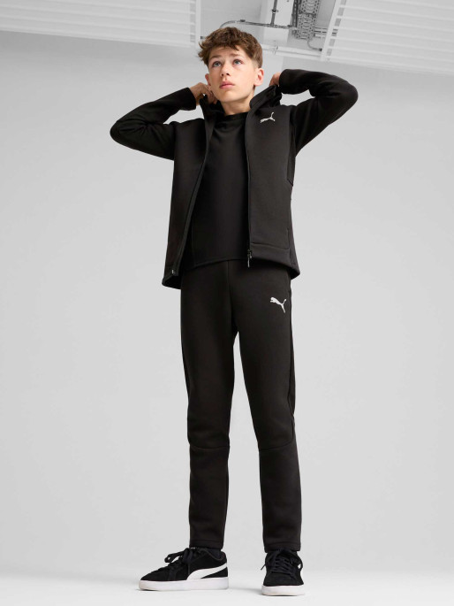 PUMA EVOSTRIPE FZ Hoodie DK B