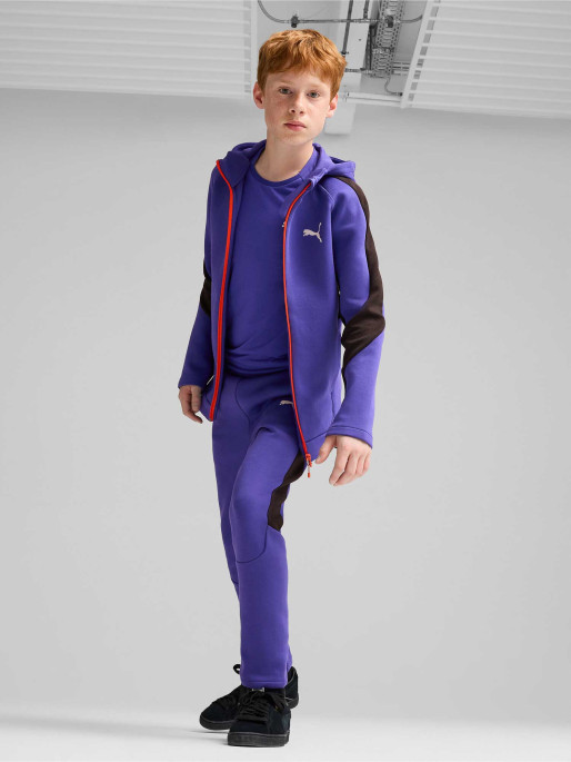 PUMA Hanorac Evostripe Fz Dk B