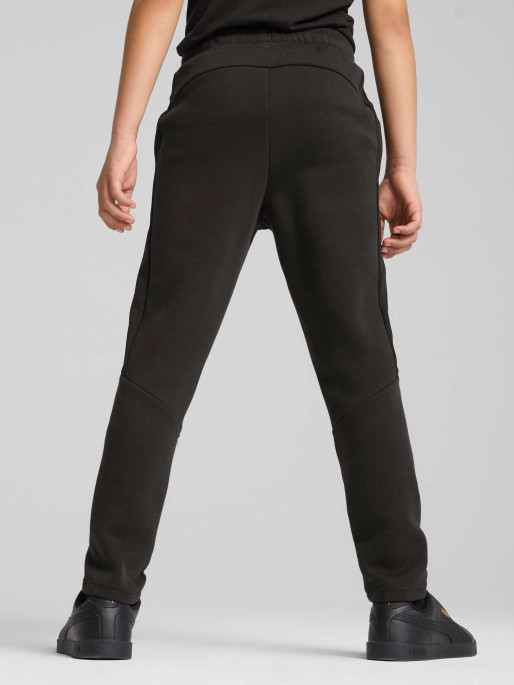 PUMA EVOSTRIPE Pants DK B