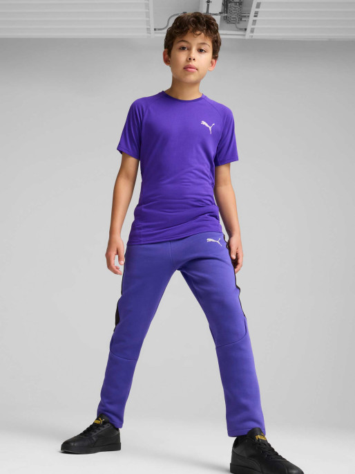PUMA Pantaloni sport Evostripe Dk B