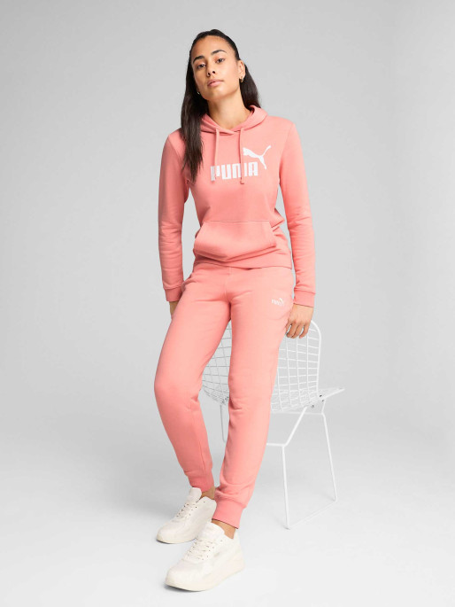 PUMA ESS No. 1 Logo Hoodie TR (s)