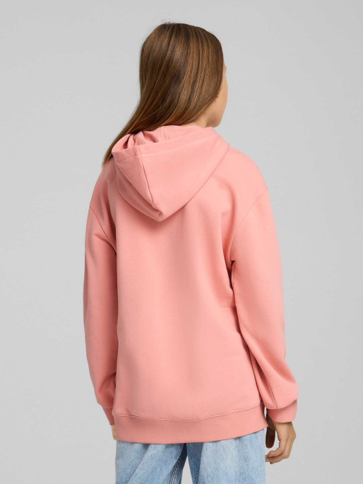 PUMA ESS FLAMING LOVE Hoodie TR G
