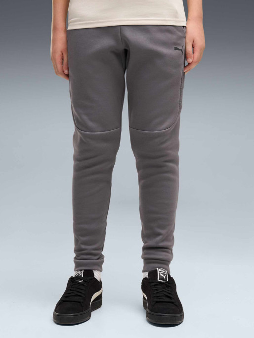 PUMA Pantaloni sport Pumatech Elevated Dk B